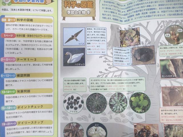 理科 SAPIX 小6 2023年度版 サピックス デイリーサピックスと