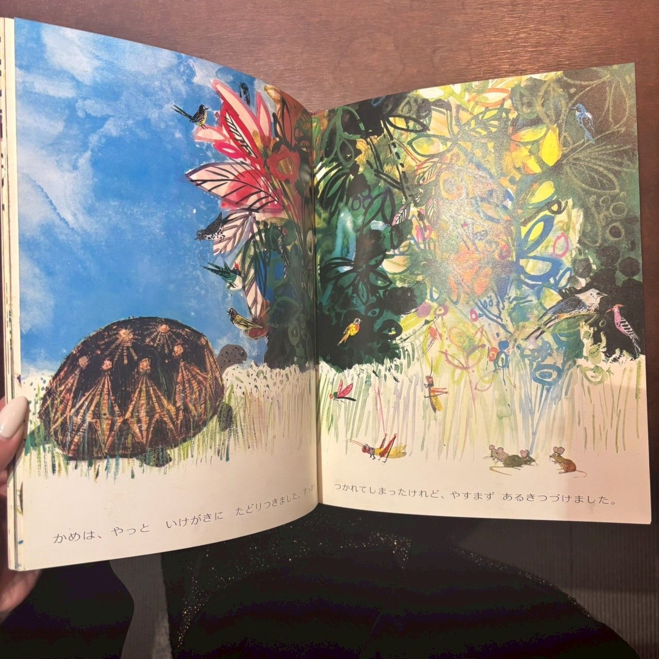 ブライアン•ワイルドスミス絵本 全11冊セット うさぎとかめ