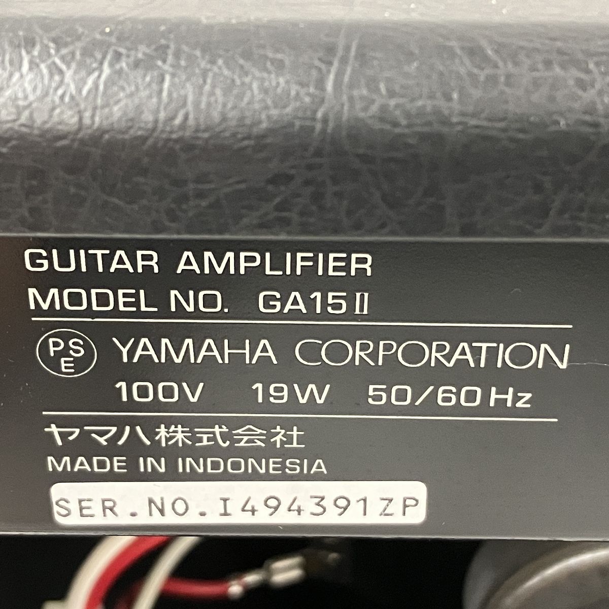 T10073999