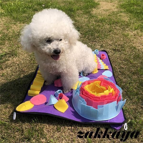 犬猫
