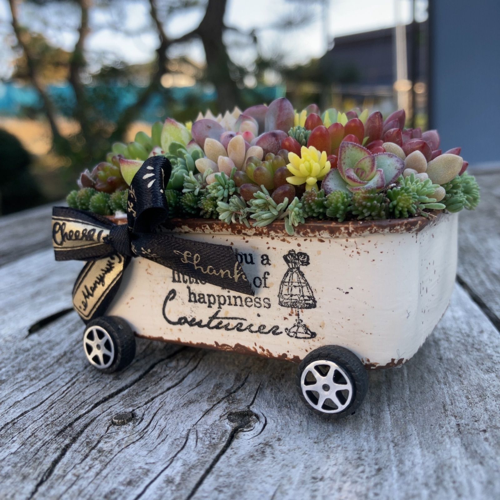 ❤️多肉植物❤️そのまま飾れる寄せ植え❤️手押し車❤️ 多肉植物寄せ植えそのまま飾れるちま寄せ花車 - メルカリ