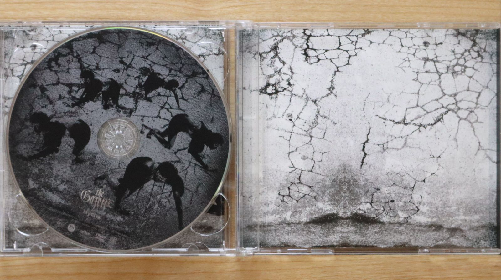 国内盤CD☆ザ・ガゼット/the GazettE□ Hyena-Optical Impression-(DVD