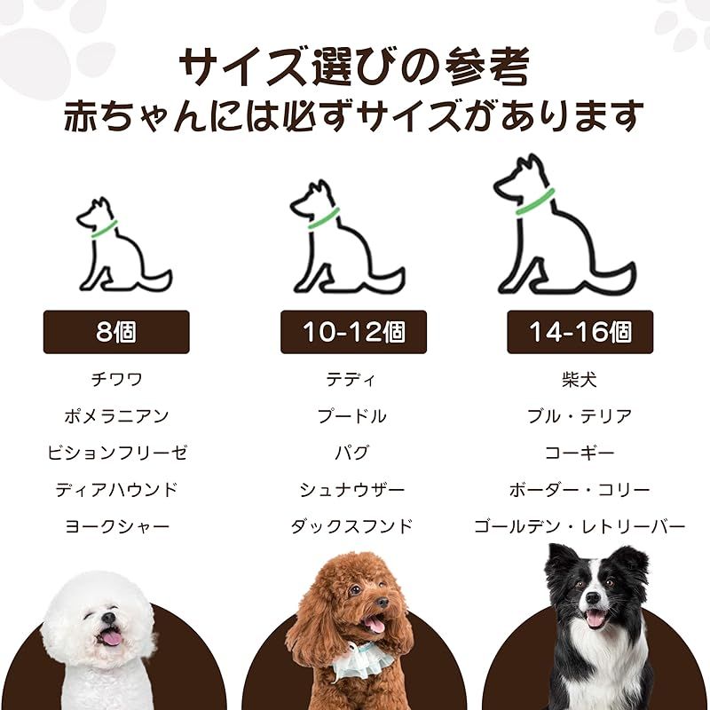 ペット