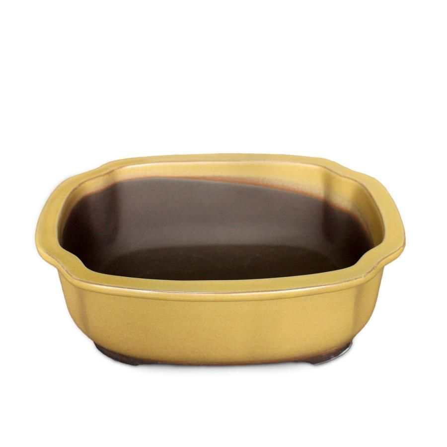 盆栽鉢 8号 木瓜鉢 モッコ鉢 黄土色 黄釉 瀬戸焼 陶器 大型 中型 雑木 松柏 約25センチ 植木鉢 苔 おしゃれ WWW_GEBZETESISAT_COM_TR