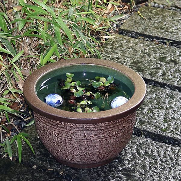 信楽焼 陶器 水鉢 メダカ鉢 金魚鉢 睡蓮鉢 13号松皮水鉢 コレクション