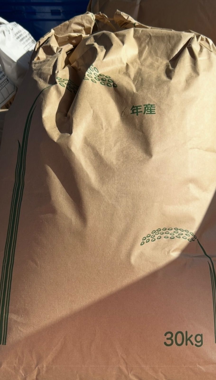 令和7年新米】とちぎの星(10kg)白米｜令和の大嘗祭献上米品種｜栃木県