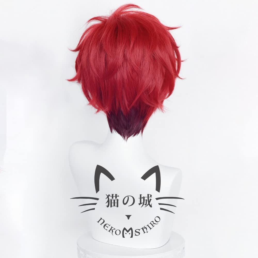 猫の城 天城 一彩 あまぎひいろ コスプレウィッグ あんさんぶるスターズ! 耐熱 かつら アニメ 仮装 コスチューム小物 パーティー イベント 仮装 コスチュム ウィッグネット付き