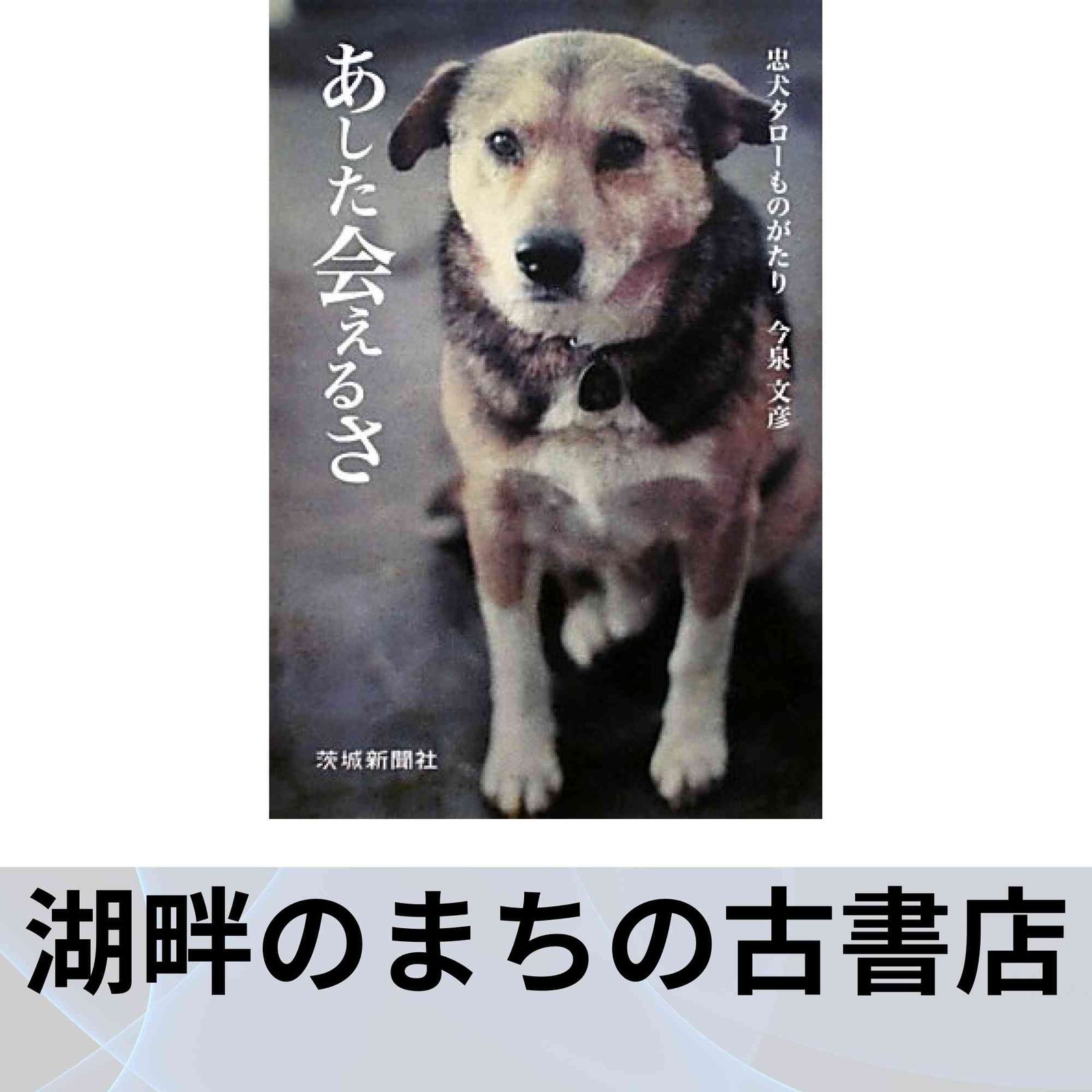 激安アウトレット!】 あした会えるさ : 忠犬タローものがたり 【公式通販】
