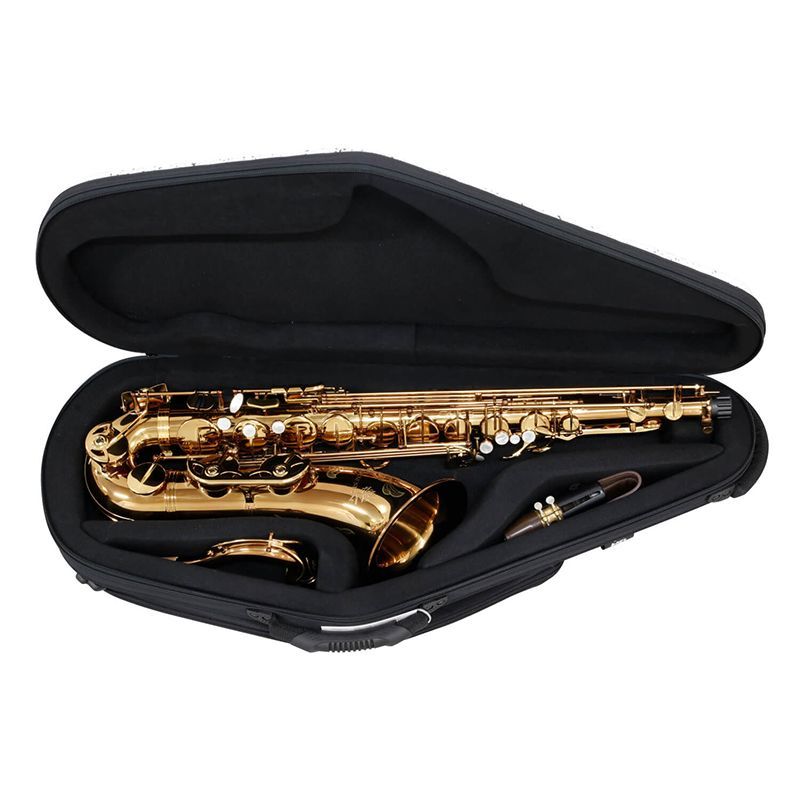 テナーサックス用ケースII