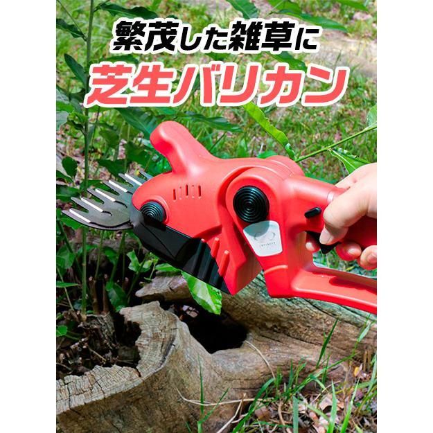 シバカリ ヘッジトリマ