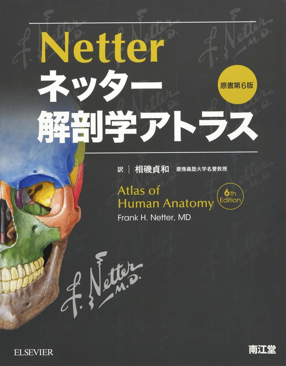 ネッター解剖学アトラス原書第6版 ネッター 原書第6版 解剖学アトラス