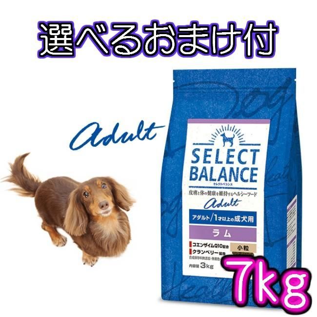 【15kg】セレクトバランス アダルトラム ドッグフード ②送料無料 セレクトバランス アダルトラム小粒15kg 15kg】セレクト