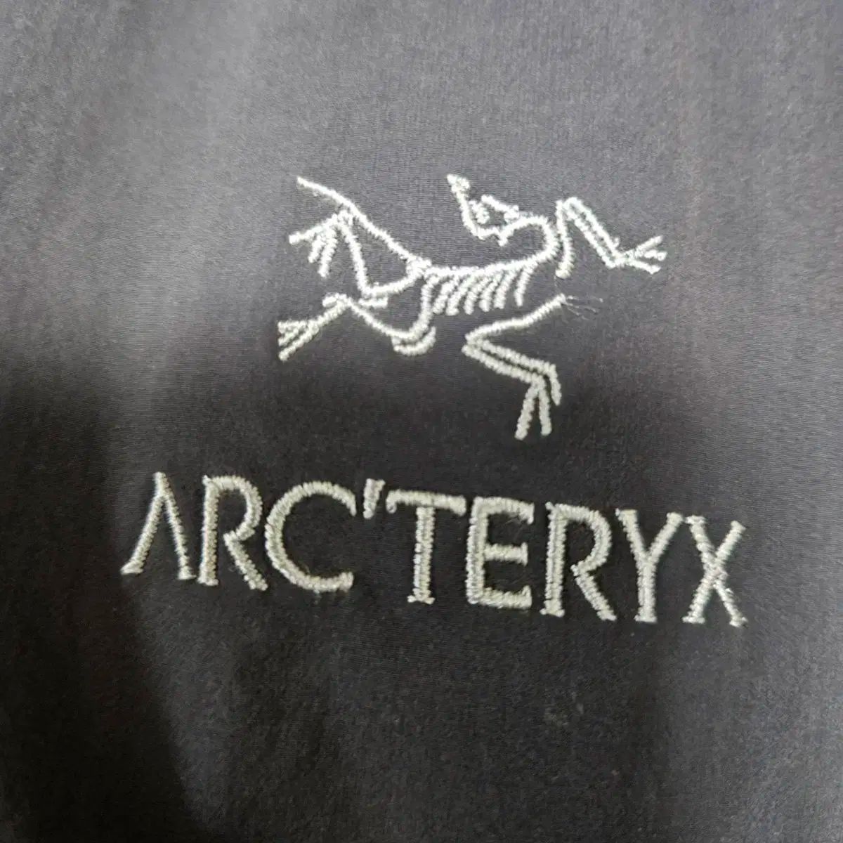 ARC TERYX アークテリクス ガンマフーディー SL ブラックサファイア Lサイズ