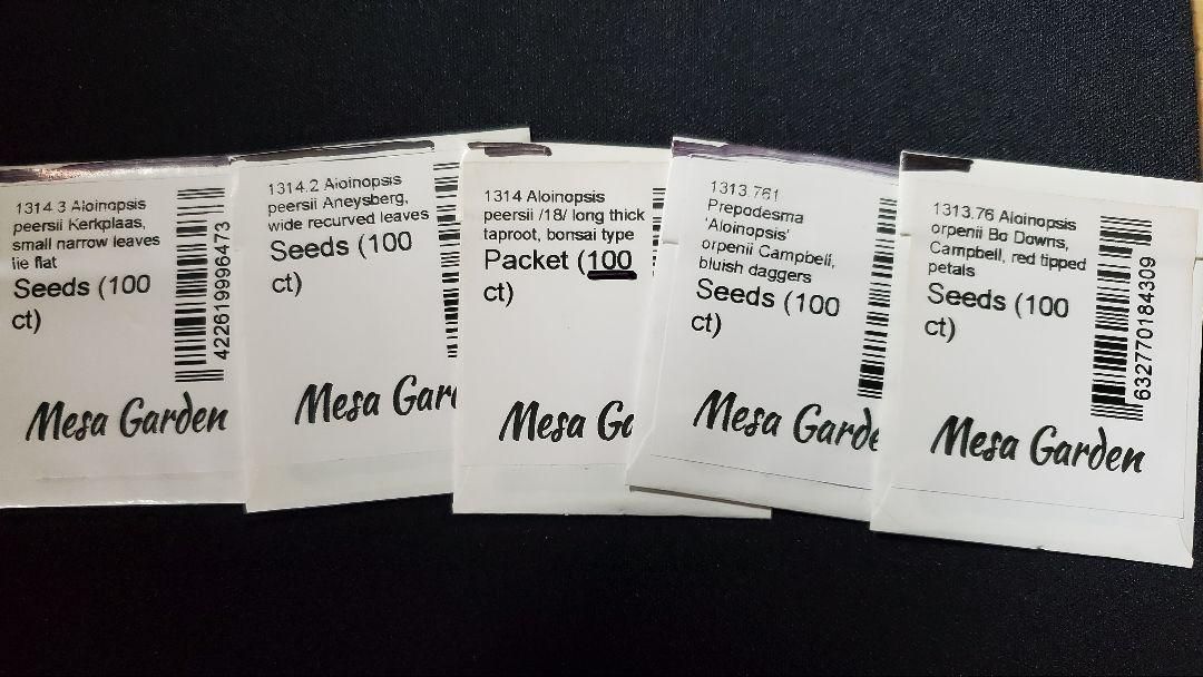 アロイノプシス 種子３５種類 ２０粒ずつセット YUZUMIYA_COM