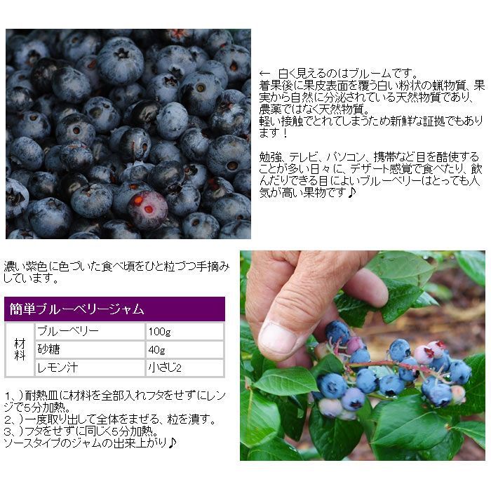 冷凍ブルーベリー3kg 1kg×3袋