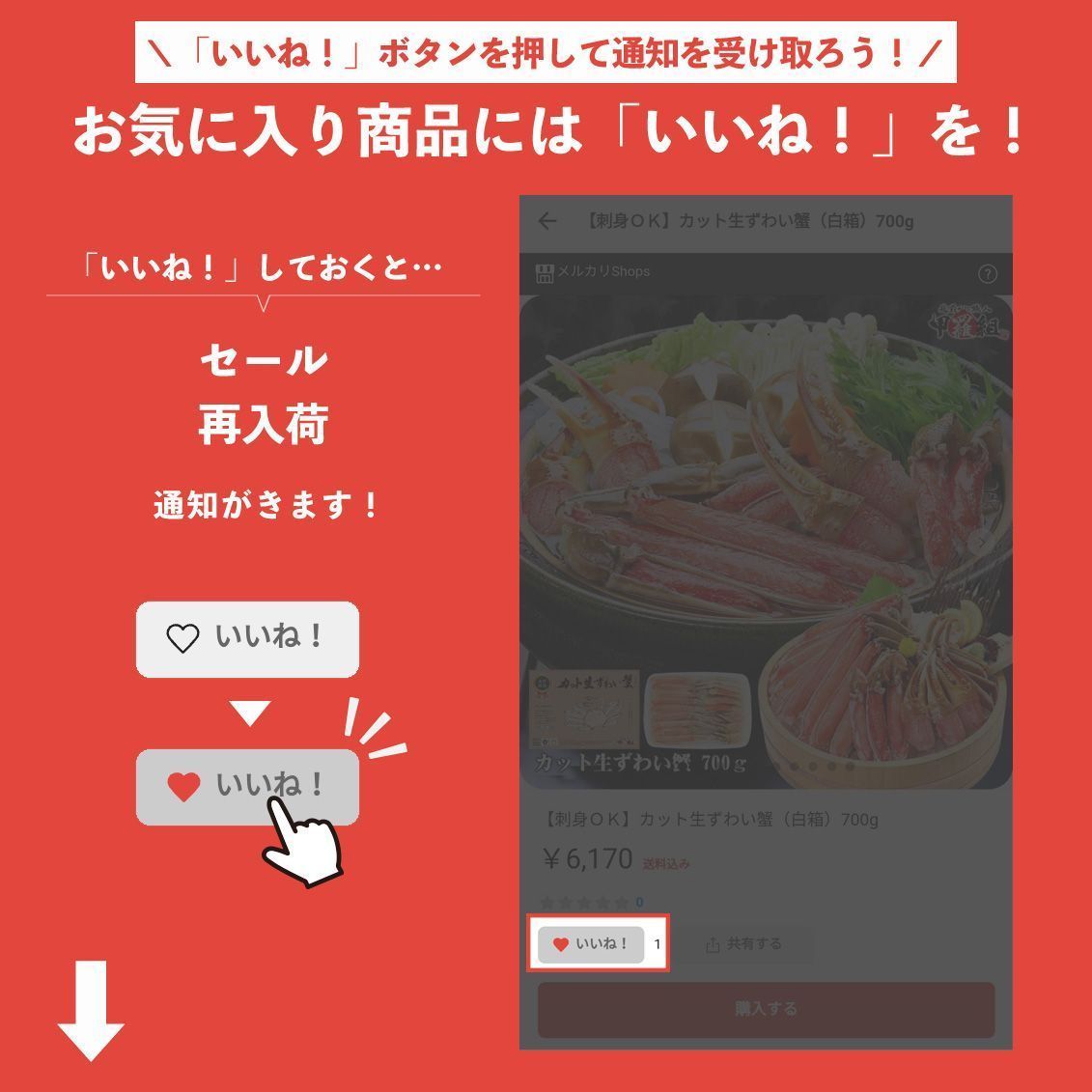冷凍食品 定塩