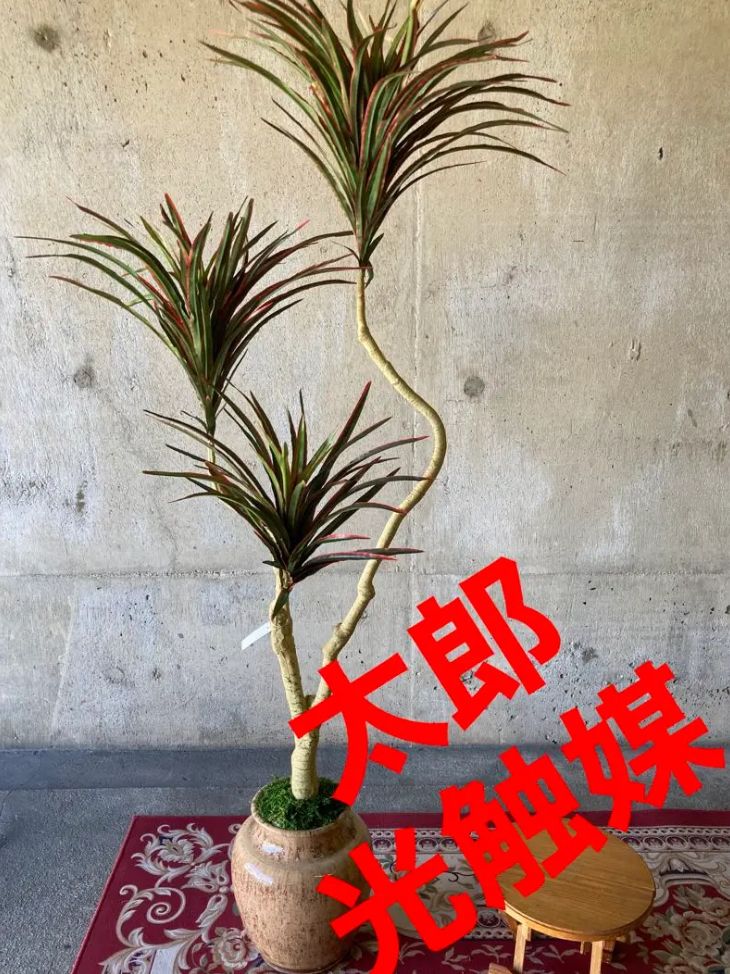 光触媒　人工観葉植物　ウォールグリーン　フェイクグリーン　コンシンネg12060