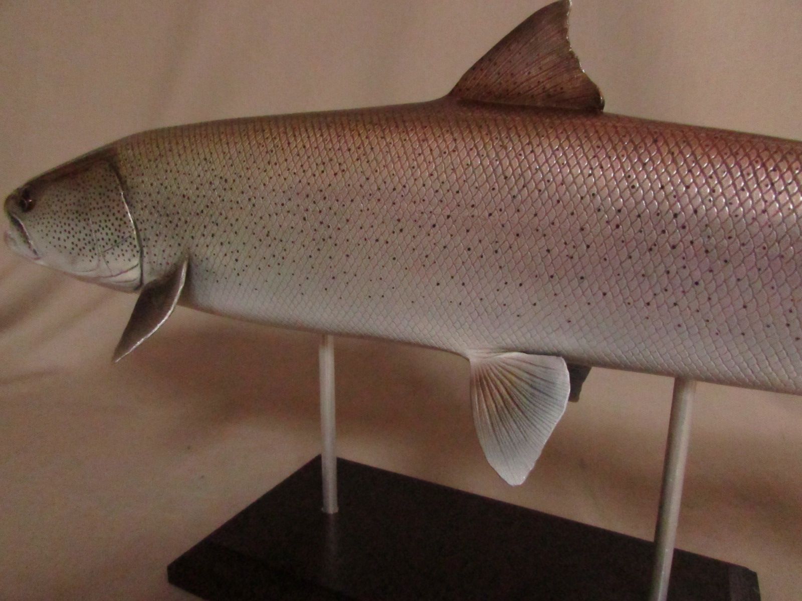 ハンドメイド 自作 46cmイトウ 怪魚 釣り フィギュア 魚模型