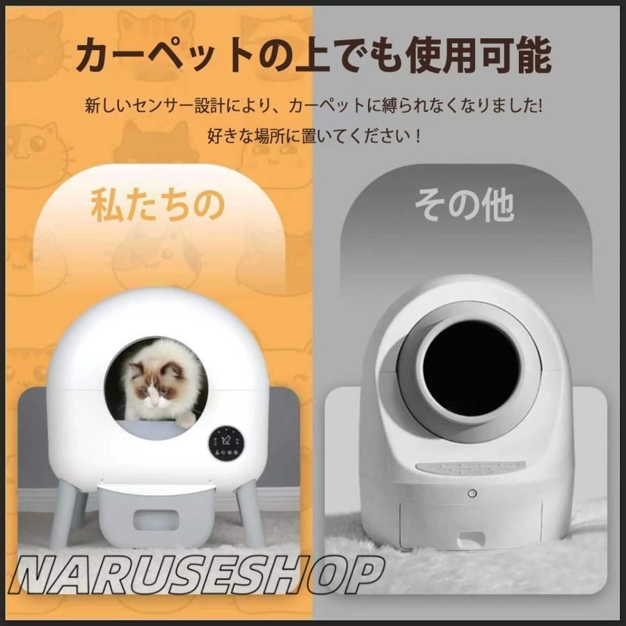 定期清掃 物理防臭