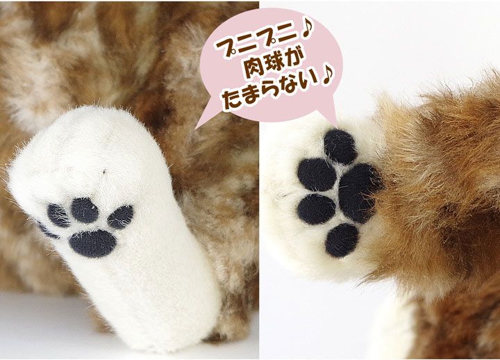 カドリー猫　ムッシュ cuddly cat ムッシュ Muche 猫のぬいぐるみ デブ猫 – Cuddly公式オンライン