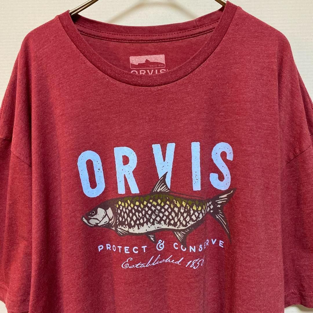 オービス ORVIS XXL プリント半袖Tシャツ アートT フィッシング