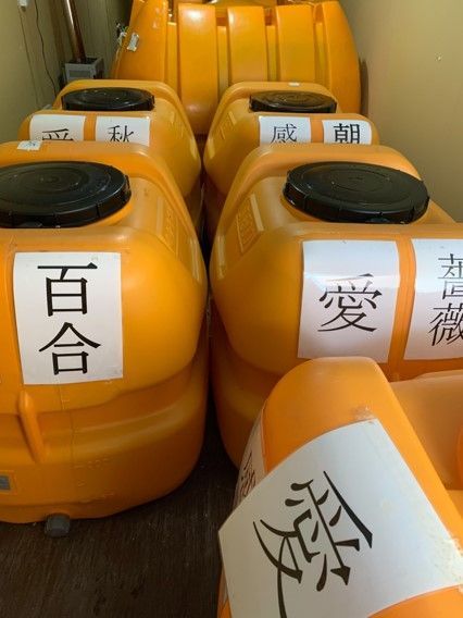 乳酸菌生産物質