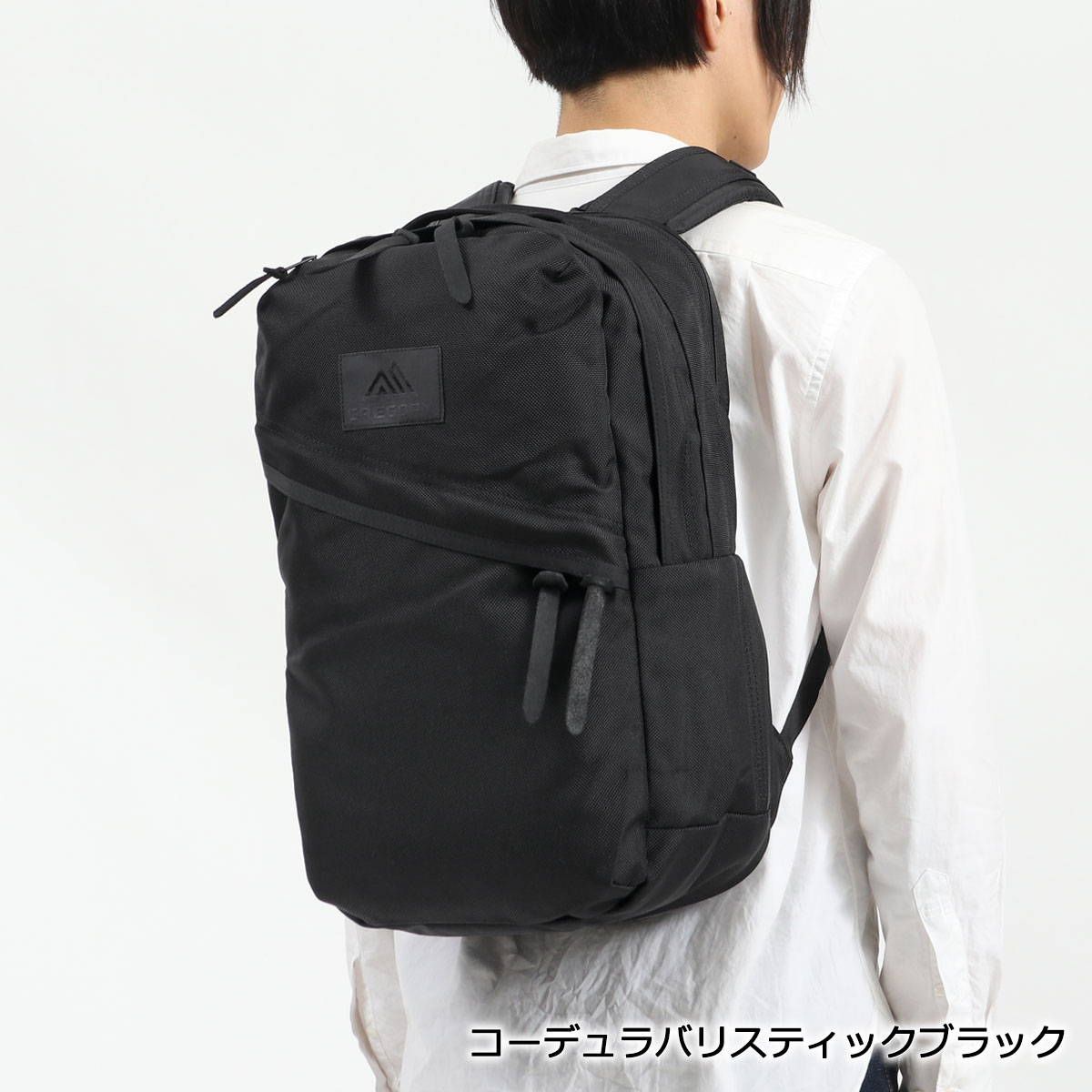 日本正規品 グレゴリー リュック GREGORY エブリデイプラス EVERYDAY 