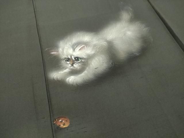 平和屋着物○訪問着 作家物 紬地 手描き 猫 ネコ てんとう虫 正絹