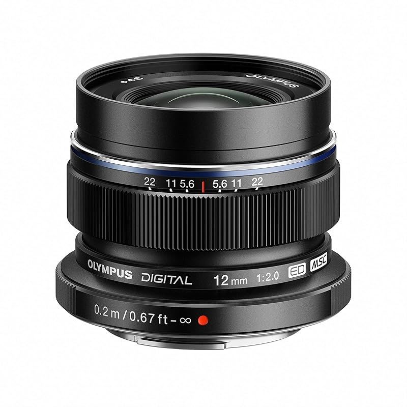 ☆美品☆キャノン CANON EF-S 60mm F2.8 MACRO USM Amazon.co.jp: 美品