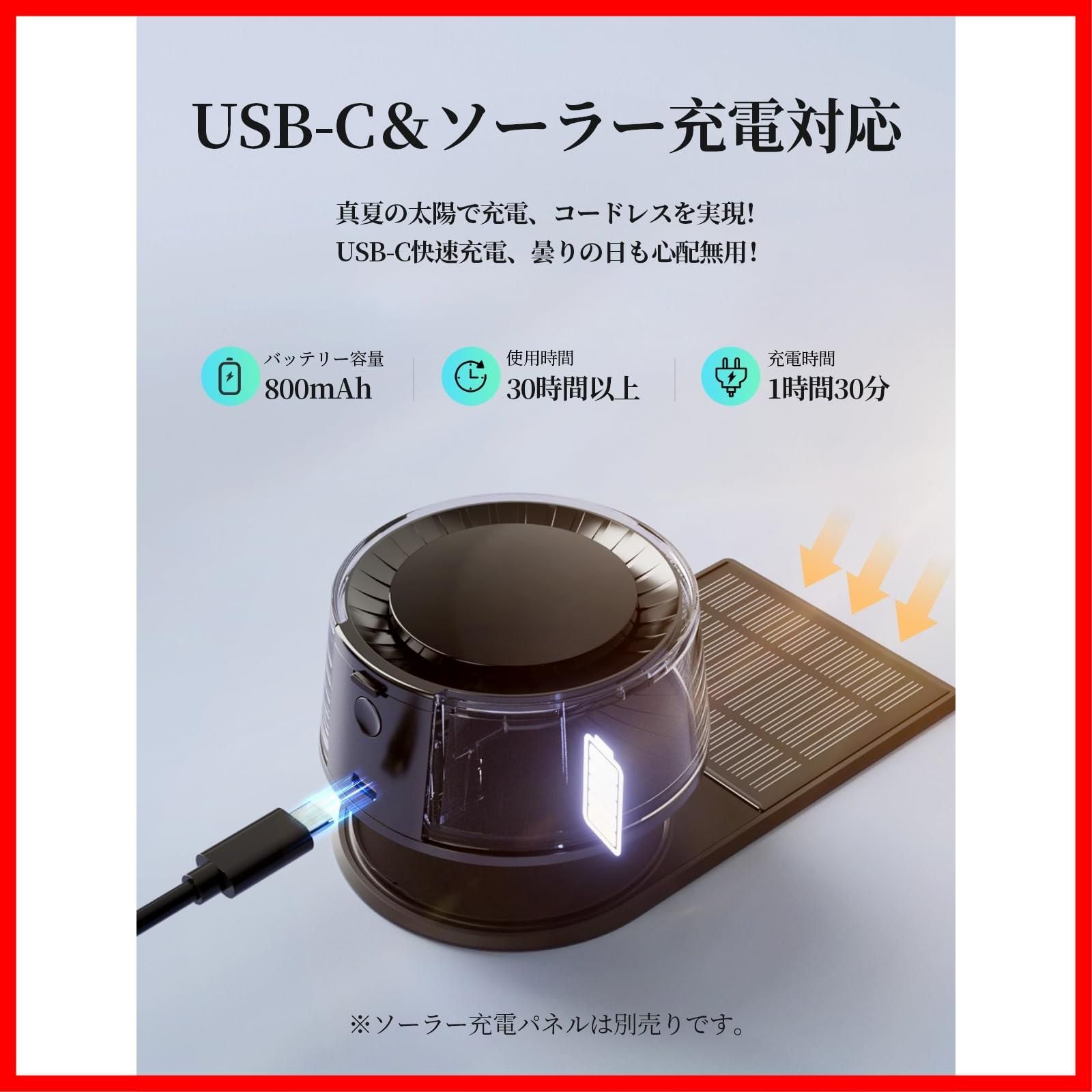 6ヶ月分精油付き