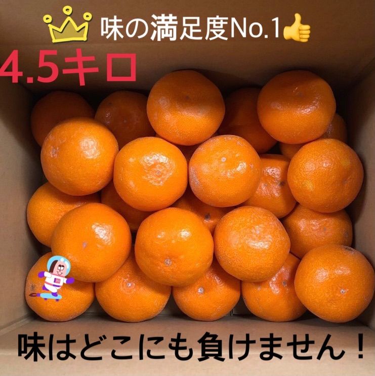 蜜柑王みかん Lサイズ 4.5キロ とっても美味しいみかんです