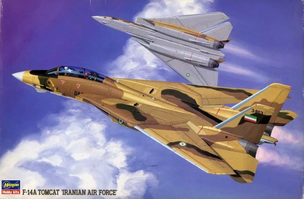 [중고] 프라모델 1/72 F-14A 톰캣 “이란 공군” [04065]