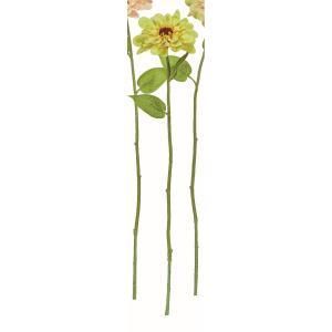 hana 新品・3営業日で発送】アスカ(Asca) ジニア (A-35069-010G)【入