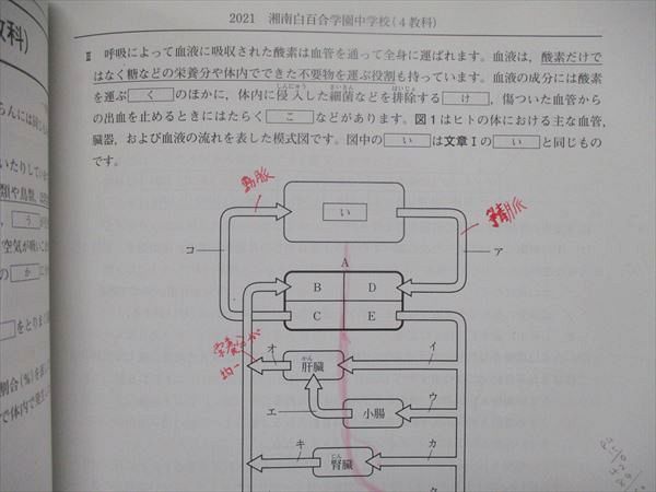 UJ84-021 日能研 中学受験用 2022年度版 日特 国語/算数/理科/社会 テキスト 計4冊 00L2D - メルカリ