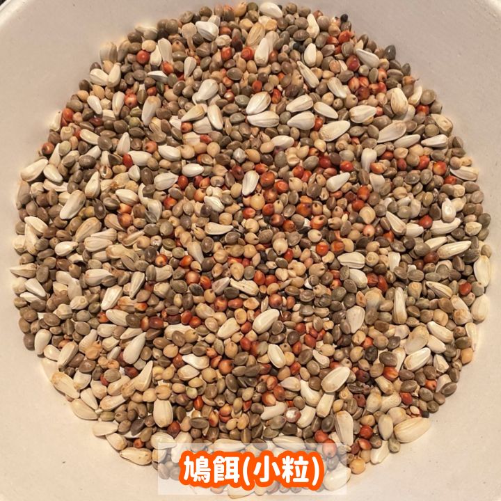 【ラスカル】鳩餌（小粒）12kg Amazon | MOGUMOGUらんど 小鳥のエサ 皮付きタイプ 5kg