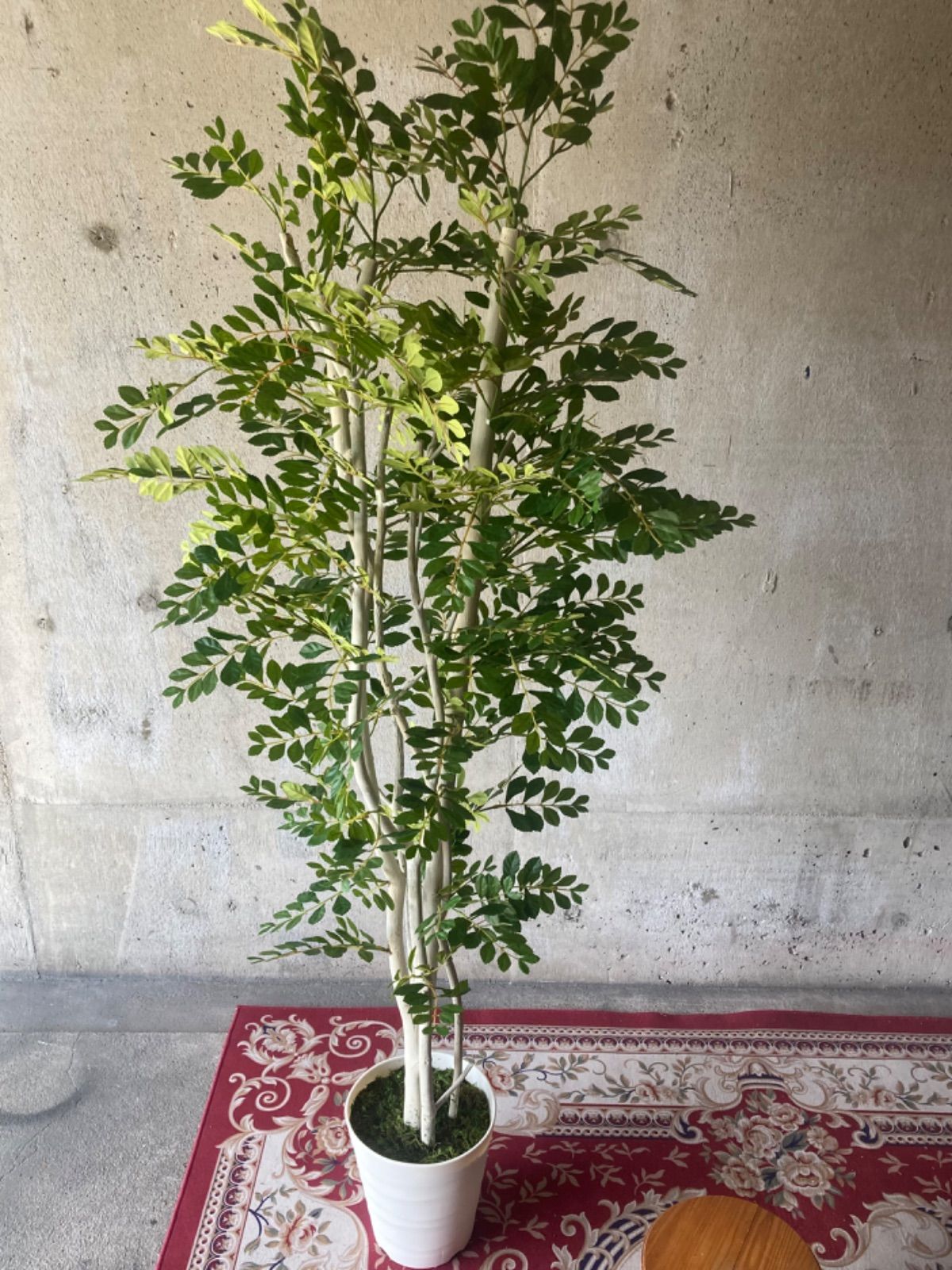 光触媒 人工観葉植物 ウォールグリーン フィクグリーン パキラ