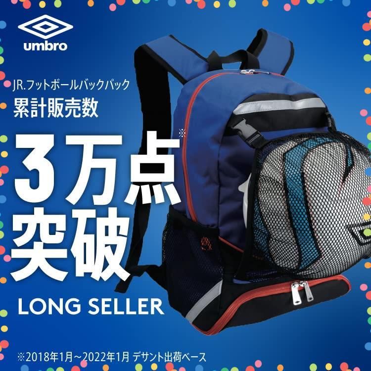 ポケット ボール収納