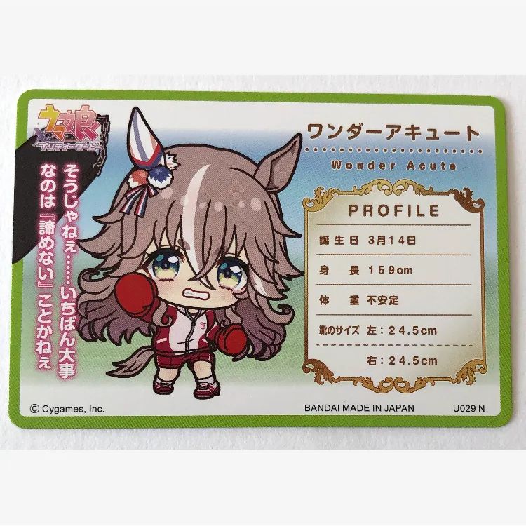 073]☆ウマ娘☆プリティーダービー カードダス〈ワンダーアキュート