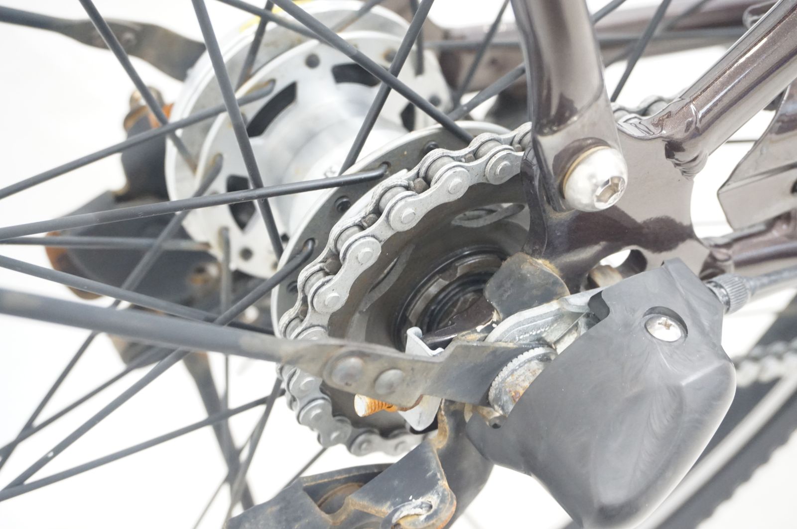 ティモS BE-ELST636T