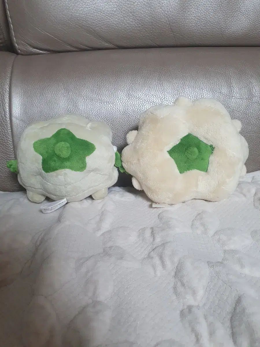 ポケットモンスター