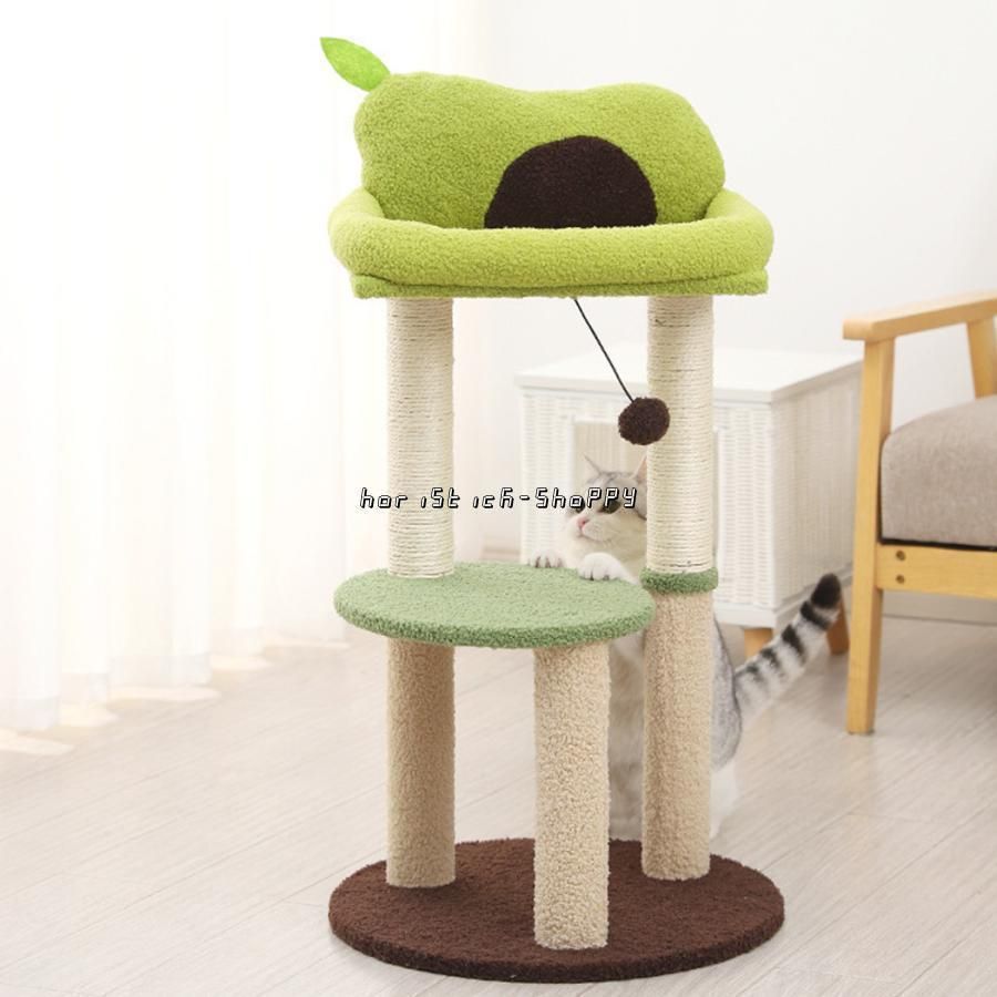 子猫 シニア