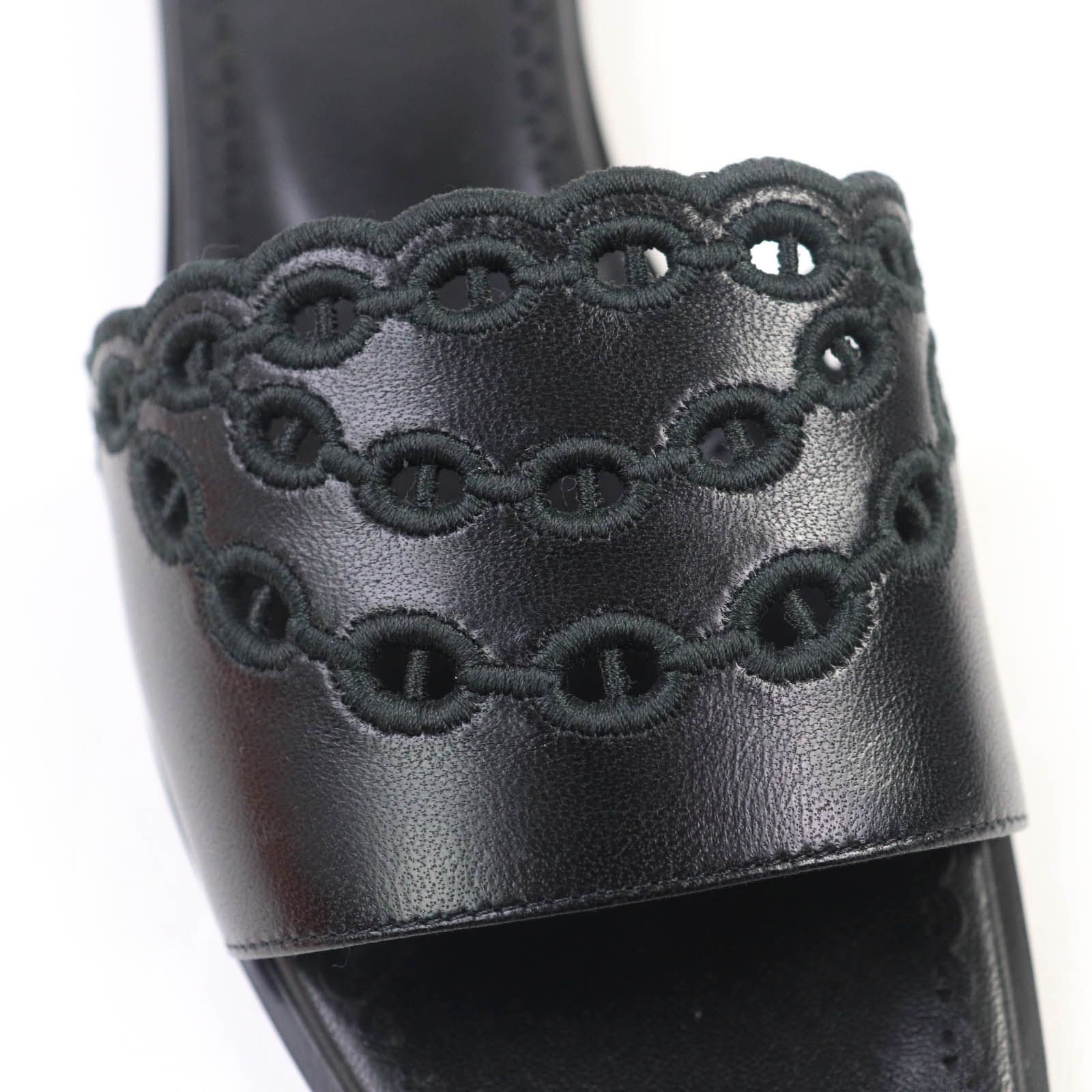 ガエル シェーヌダンクル