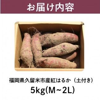 【減農薬】熟成紅はるか さつまいも 土付き 5kg 特大