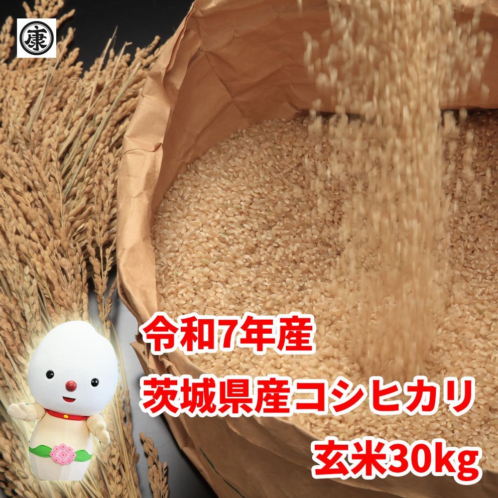 令和7年産 茨城県産コシヒカリ 玄米30㎏ 低温保管