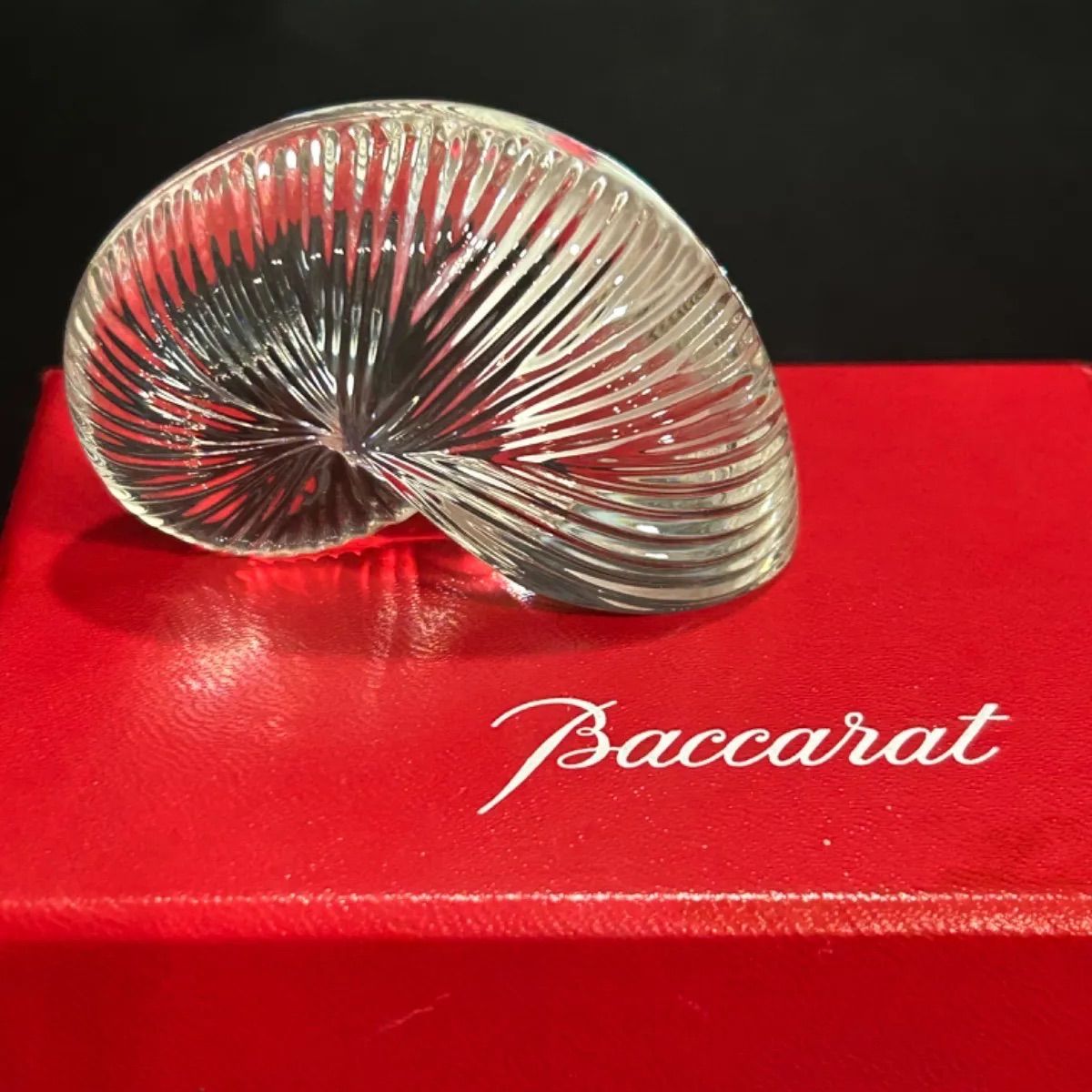 廃盤希少品‼️未使用 Baccarat バカラ クリスタル ノーチラス 巻貝 オウムガイ アンモナイト ペーパーウェイト 置物 インテリア雑貨  フィギュアリン c14(鹿) - メルカリ