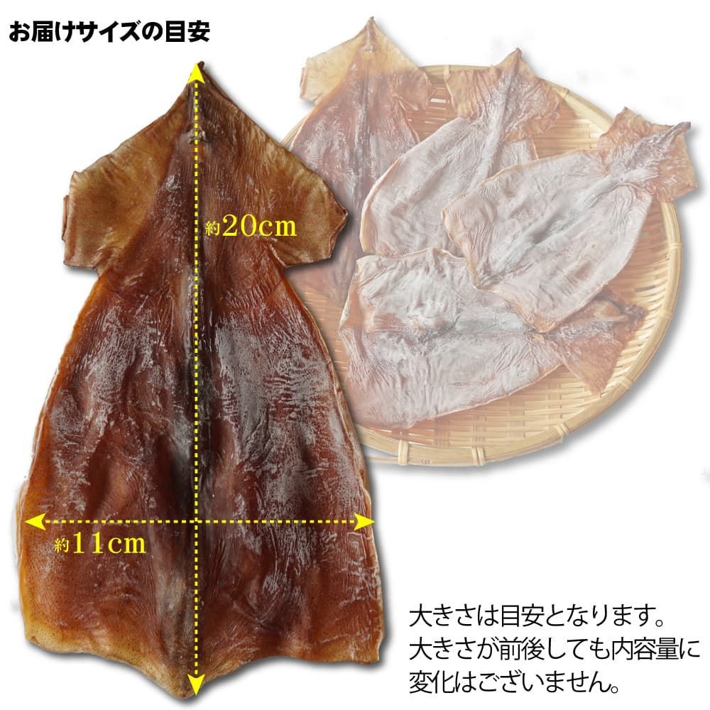 おつまみ スルメ 約180g イカゲソ（足）なし スルメイカ 無添加 無塩 北海道 だるま