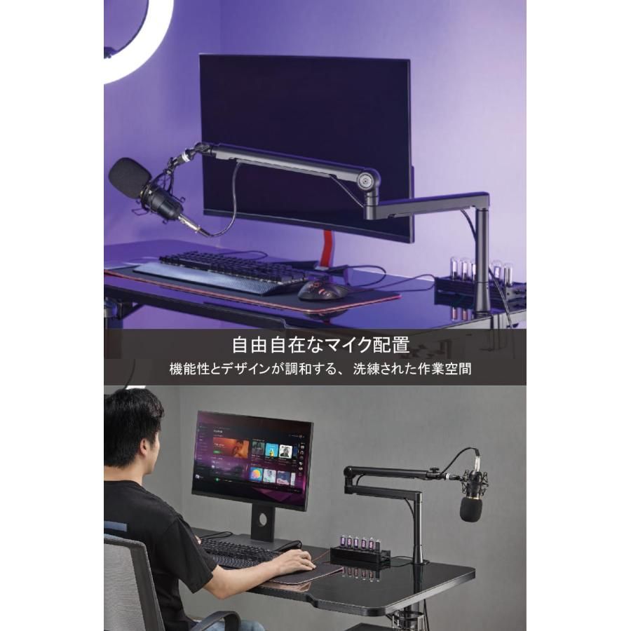 Microphone Arm