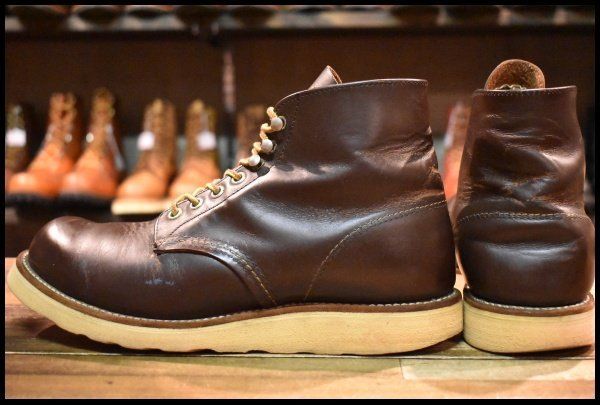 8160 アイリッシュセッター