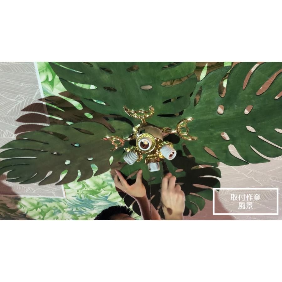 シーリングファンライト