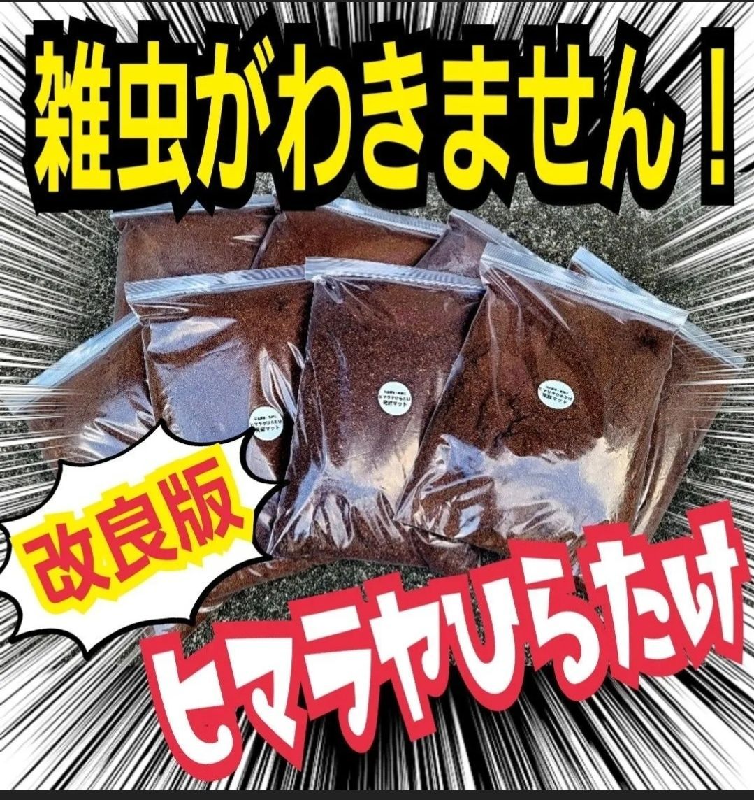 カブトムシ幼虫が大きくなります！改良版☆ヒマラヤひらたけ発酵マット 